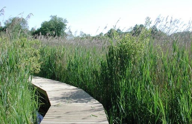 Réserve Naturelle Régionale du Marais de Bonnefont 8 - Mayrinhac-Lentour