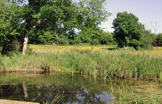 Réserve Naturelle Régionale du Marais de Bonnefont 4 - Mayrinhac-Lentour
