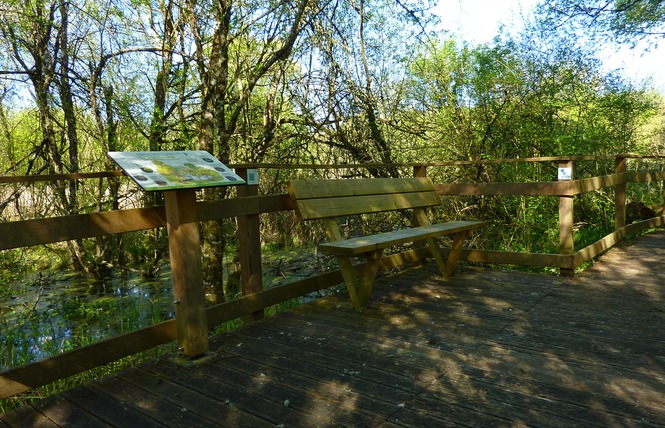 Le Marais de Bonnefont, Réserve Naturelle Régionale 10 - Mayrinhac-Lentour