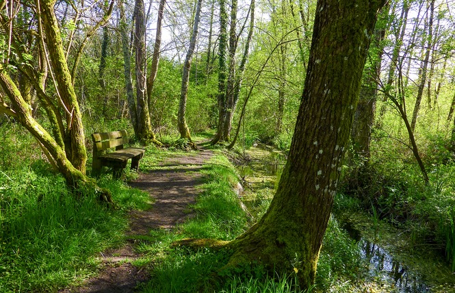 Le Marais de Bonnefont, Réserve Naturelle Régionale 11 - Mayrinhac-Lentour