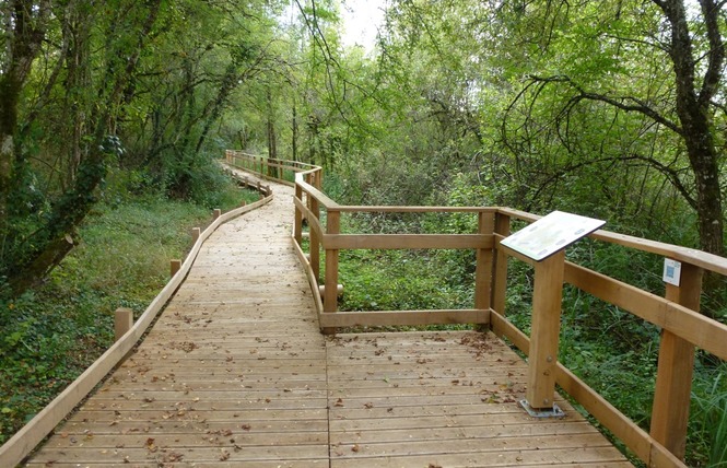 Réserve Naturelle Régionale du Marais de Bonnefont 19 - Mayrinhac-Lentour