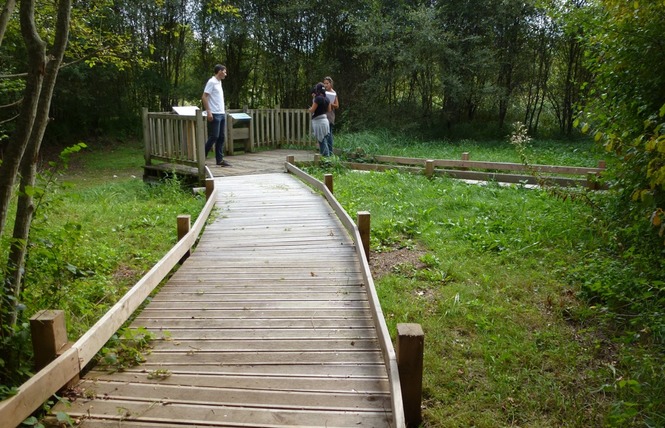 Réserve Naturelle Régionale du Marais de Bonnefont 21 - Mayrinhac-Lentour