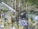Réserve Naturelle Régionale du Marais de Bonnefont 15 - Mayrinhac-Lentour