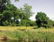 Réserve Naturelle Régionale du Marais de Bonnefont 7 - Mayrinhac-Lentour