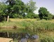 Réserve Naturelle Régionale du Marais de Bonnefont 4 - Mayrinhac-Lentour