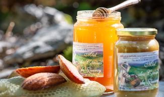 Abeilles et Nature - Miel et biscuits - Caniac-du-Causse