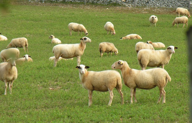 Entre Pechs et Combels 1 - Ginouillac
