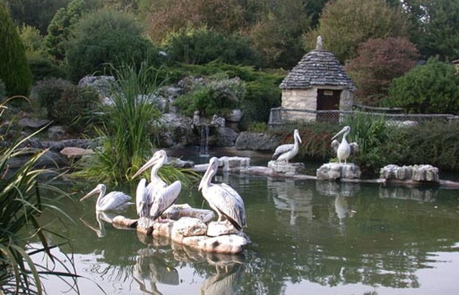 Parc Animalier de Gramat 25 - Gramat