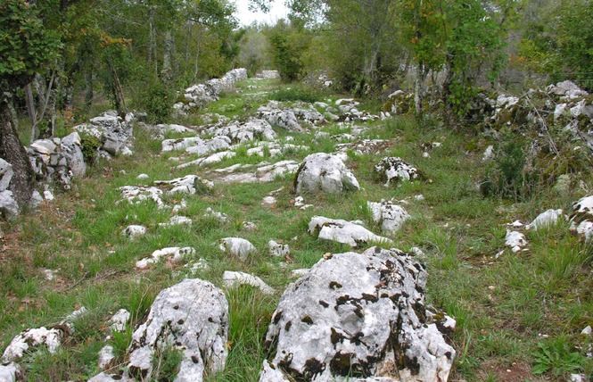 De l'Ermite St Namphaise au Roi Murat 6 - Cœur de Causse
