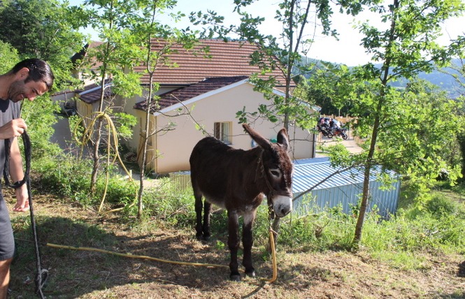 Gîte D'Étape La Peyrade 4 - Cajarc