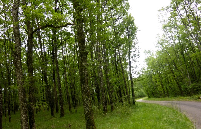 Boucle des Châtaigneraies du Causse 5 - Les Pechs du Vers