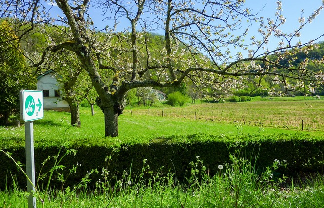 Circuit de la Vallée du Lot 4 - Saint-Cirq-Lapopie