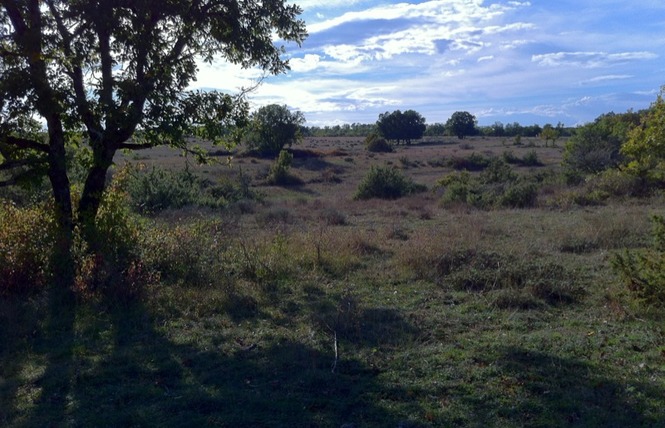 La route des paysages trufficoles 2 - Lalbenque