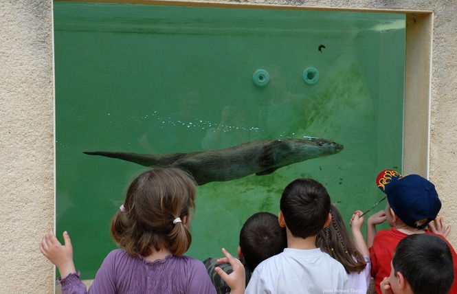 Parc Animalier de Gramat 7 - Gramat
