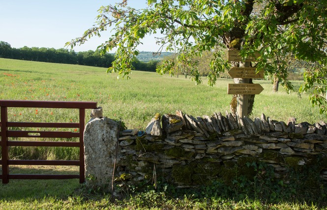 Domaine de Bel Air 14 - Le Bastit