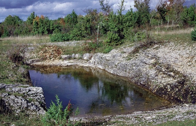 Entre Causse et Limargue 4 - Assier