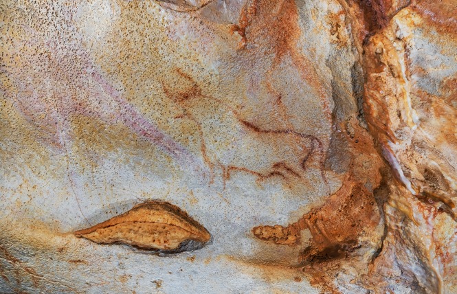 Grotte du Pech-Merle 10 - Cabrerets