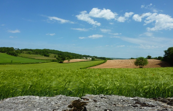 Circuit du Roc-Traoucat 2 - Sauliac-sur-Célé