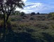 La route des paysages trufficoles 2 - Lalbenque
