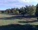 La route des paysages trufficoles 1 - Lalbenque