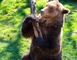 Parc Animalier de Gramat 15 - Gramat