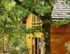 Le Bois de Faral, Ecologites 4 - Le Bastit